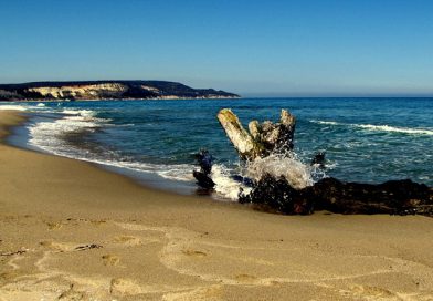 Експерти от РИОСВ – Варна и БДЧР ще почистят плаж „Романтика“